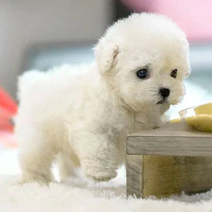 Essantials | Interactive Plush Dog with Realistic Movements – For Children & Seniors