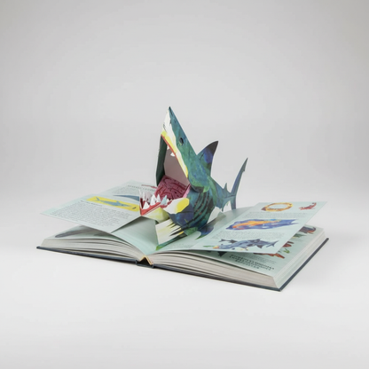 Essantials | 3D Pop-up Book Dinosaurs