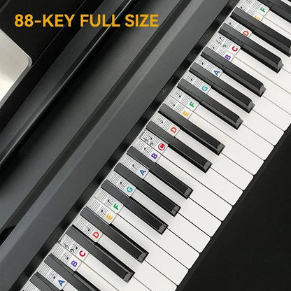 Essantials | Removable Piano Keyboard Note Labels