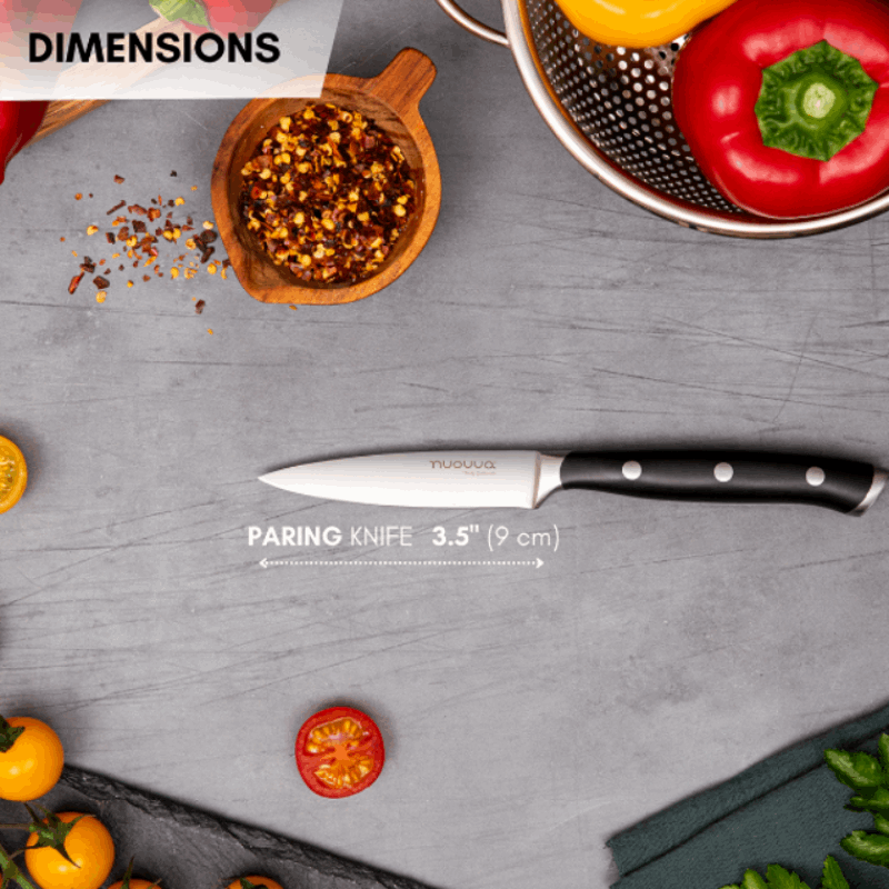 3.5-Inch High Carbon Stainless Steel Paring Knife, Nuovva