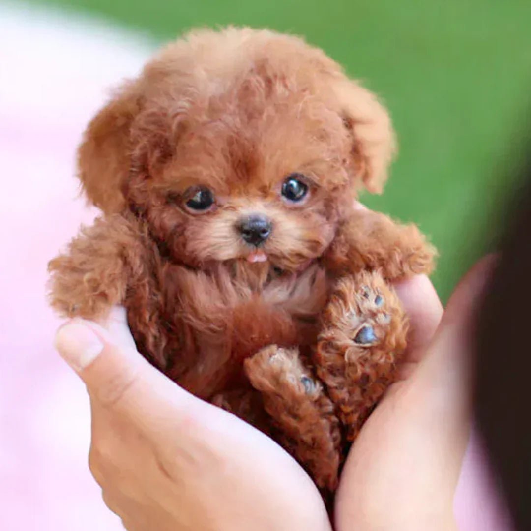 Essantials | Interactive Plush Dog with Realistic Movements – For Children & Seniors