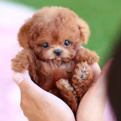 Essantials | Interactive Plush Dog with Realistic Movements – For Children & Seniors