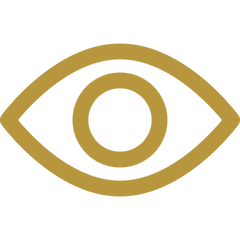 Feature icon